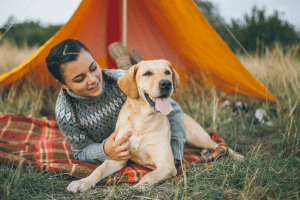 Most dogs are loving animals that can enrich a child experience. A fear of dogs can bring on unwanted stress and cause social problems