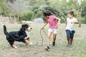 After 4 days of witnessing social proof, kids with fear of dogs were easily persuaded to play with dogs